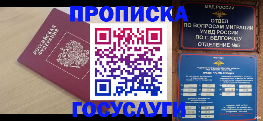 прописка законно в Называевске
